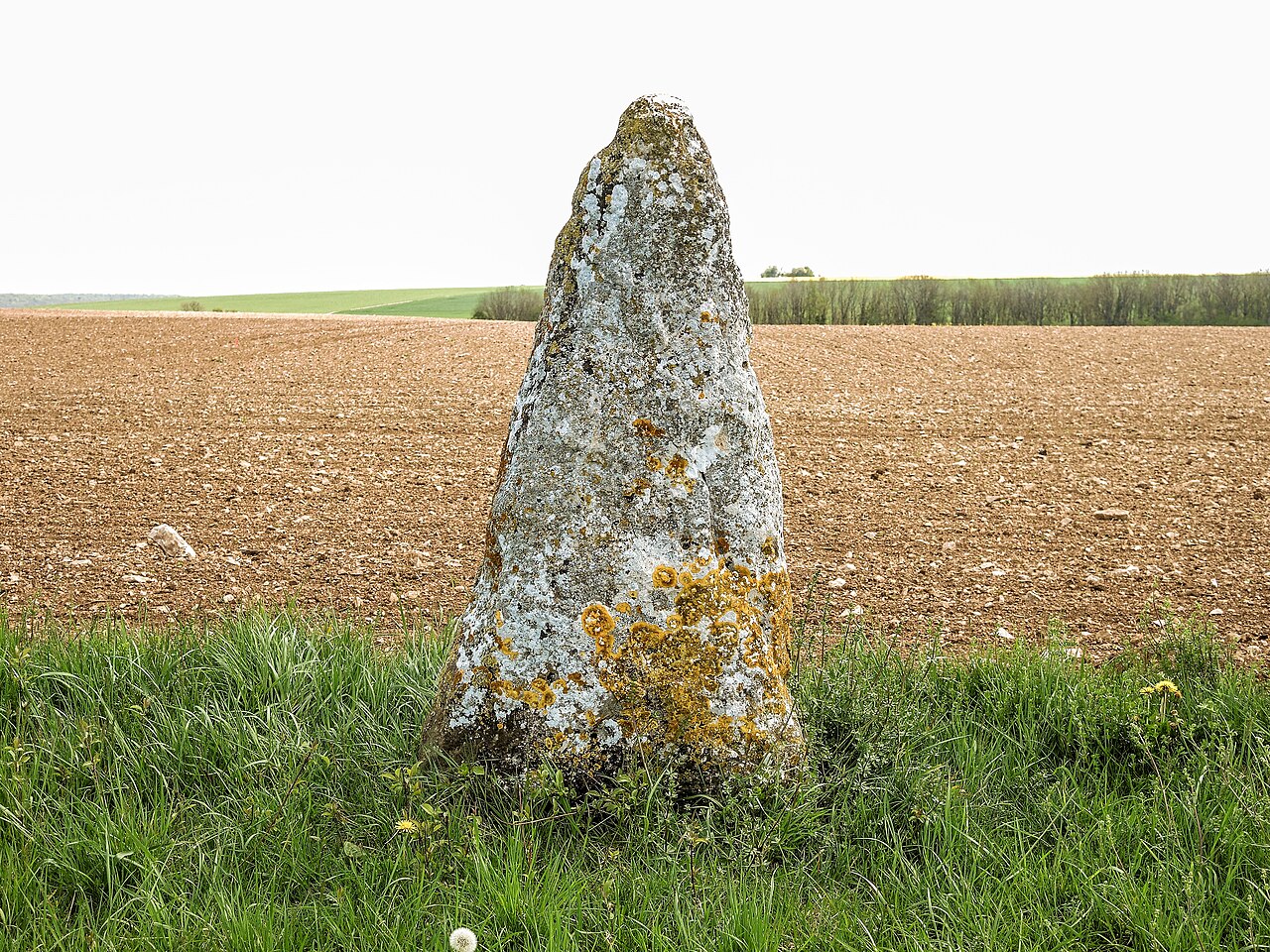 Menhir de la Grande Borne à Coulmier-le-Sec
